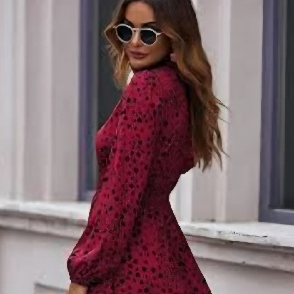 Zara Fuchsia Long Sleeve Dress